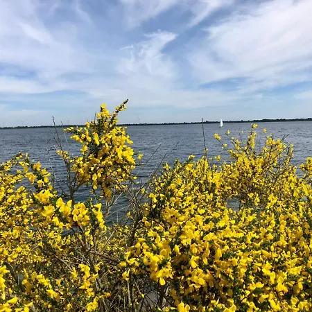 아파트 Bei Bille Und Jan 바트벤트하임