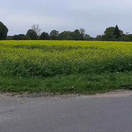 Bei Bille Und Jan 아파트