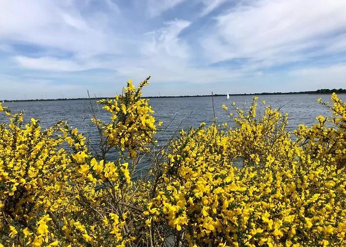 Apartmán Bei Bille Und Jan Bad Bentheim
