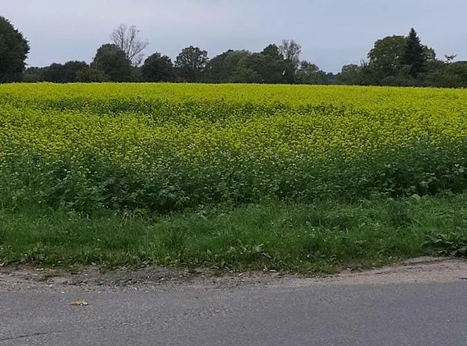 Bei Bille Und Jan Apartmán